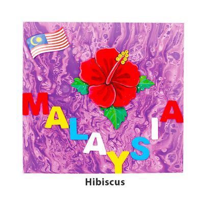 Merdeka Pour Art Canvas Painting Kit - Hibiscus