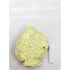 5-in-1 Sand Art Fish Board - Loose