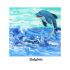 Canvas Pouring Art Box Set - Dolphin