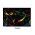 Scratch Art Sealife Kit - DolphinScratch Art Sealife Kit - Contents