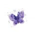 3D Butterfly Magnet - Pack of 10