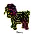 Scratch Art Farm Animal - Sheep